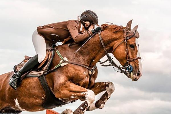 世界杯一共有几个球队_世界杯决赛圈球队数量(图1)